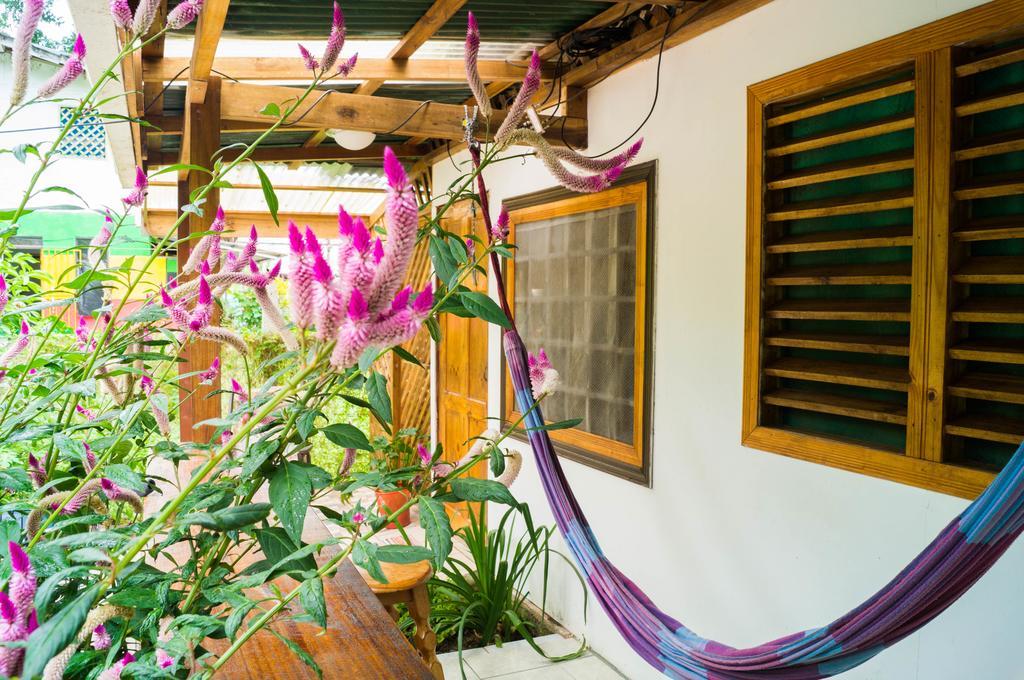 Hostal Cecilia Puerto Viejo de Talamanca Exterior photo